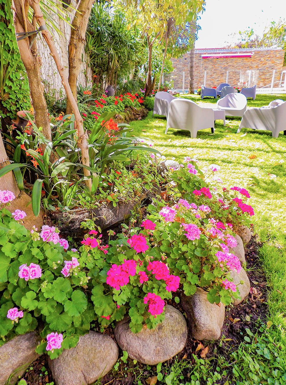 Residencia-del-Sol-Jardin-2