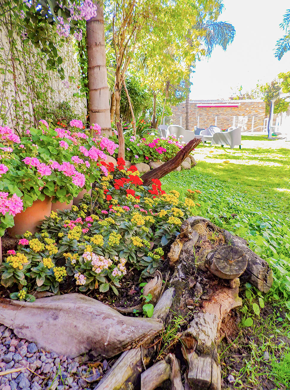 Residencia-del-Sol-Jardin